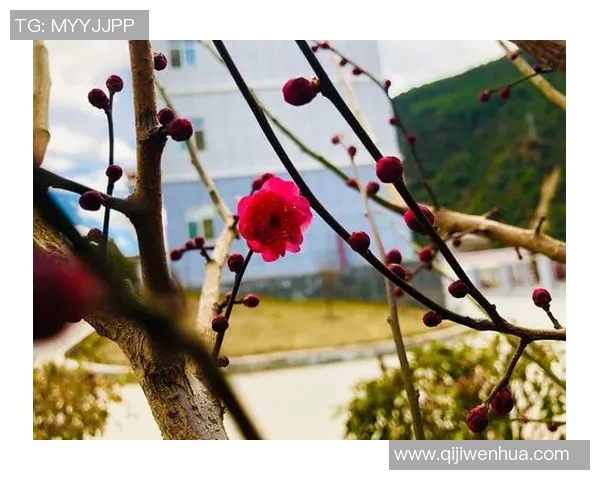 东京卓越与东京五梦的巅峰对决谁将成为未来的城市传奇