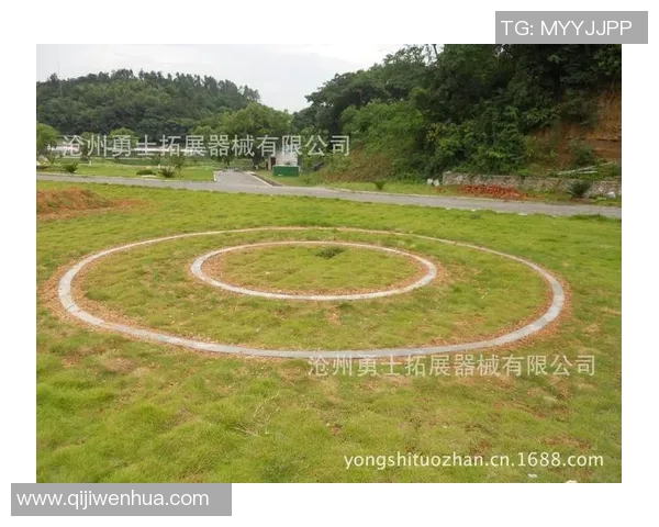 南京极限运动队战术表现的数据分析与策略优化研究