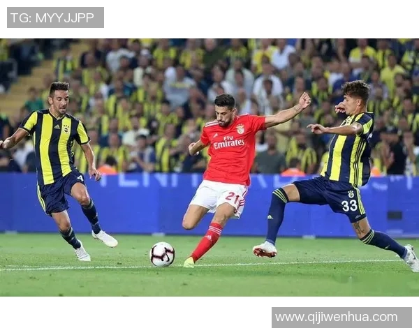 英冠焦点战伯明翰主场迎战加的夫城期待精彩对决