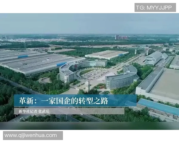 重庆乒乓球队快攻革新之路：技术突破与战术创新的深度解析