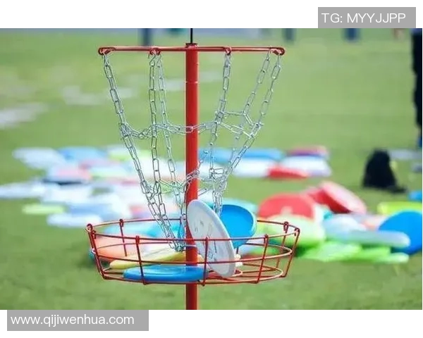 飞盘专题：深入解析上海飞盘队的战术与技术创新之路MBA