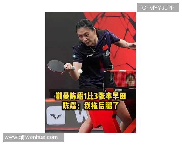 陈静的羽毛球人生深度对话探索她的奋斗与荣耀之路MBA