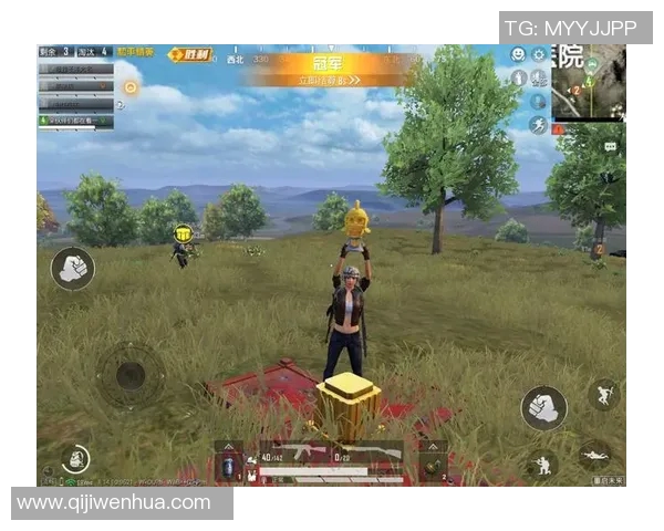 和平精英专题深度解析LNG团队协作的成功秘诀与实战经验分享